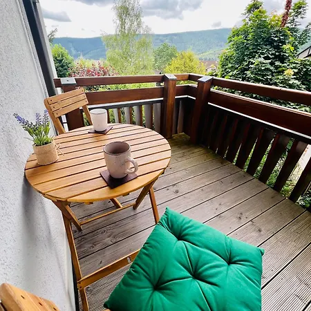 Panoramablick Mit Privatparkplatz, 2 Balkone Und 1,5 Baeder Apartment Titisee-Neustadt Exterior photo