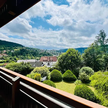 Panoramablick Mit Privatparkplatz, 2 Balkone Und 1,5 Baeder Apartment Titisee-Neustadt Exterior photo